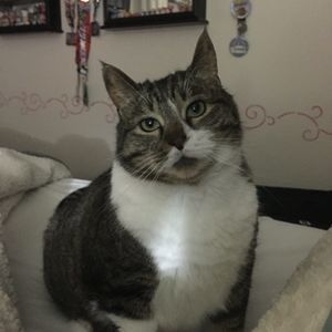 Meet your Posher, Cindy